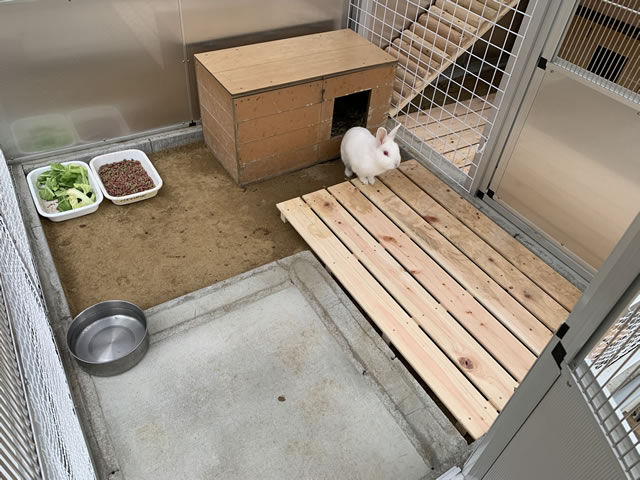 うさぎ小屋 新築